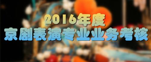 yy大美女操B国家京剧院2016年度京剧表演专业业务考...